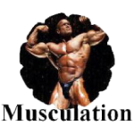Musculation