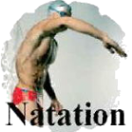 Natation