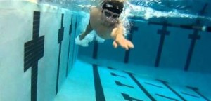 échauffement en natation