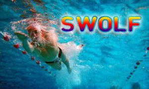 swolf