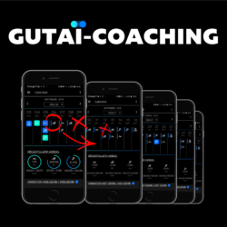 Gutaï coaching