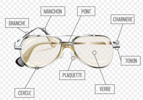 anatomie lunettes