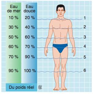 Pourcentage du poids selon le milieu dans lequel il se trouve